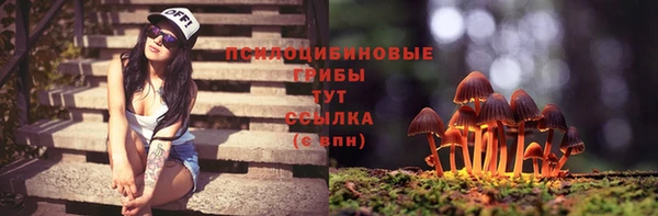 гашик Арсеньев