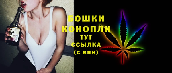 гашик Арсеньев