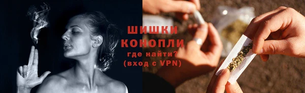 гашик Арсеньев