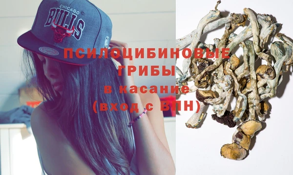 гашик Арсеньев