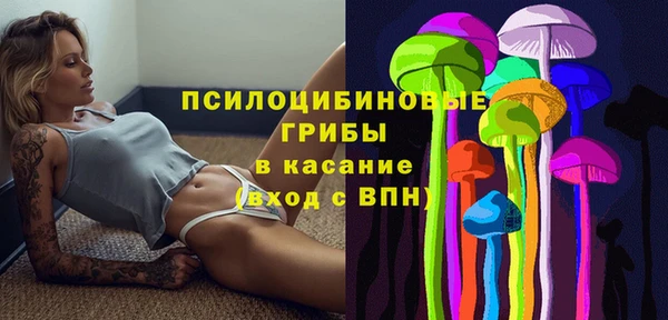 стафф Армянск