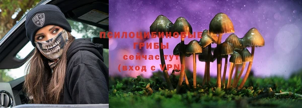 гашик Арсеньев