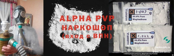 гашик Арсеньев