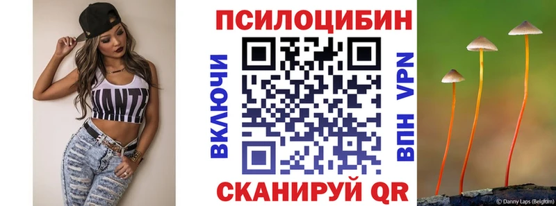 дарк нет Telegram  Курган  Галлюциногенные грибы мицелий  продажа наркотиков 