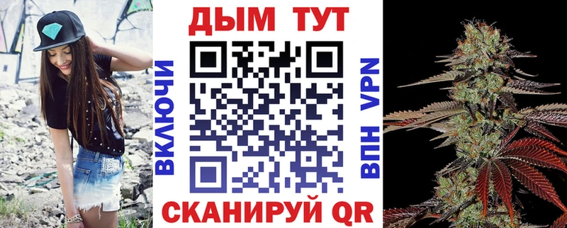купить наркотик  Курган  Каннабис план 